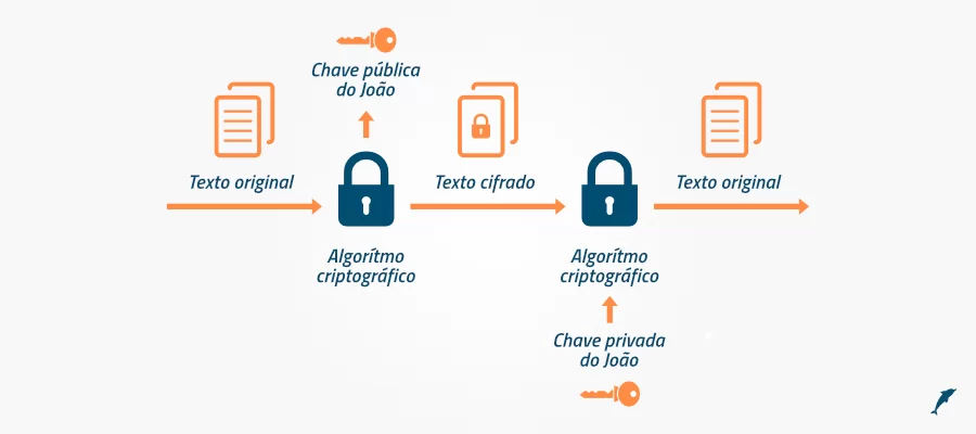 Criptografia e gerenciamento de chaves e serviços criptográficos - Algoritmo de chaves assimétricas