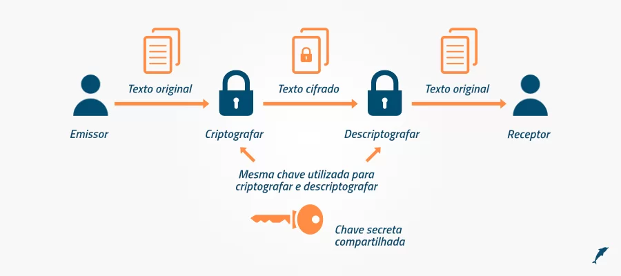 Cryptography, key management and cryptographic services - Symmetric and asymmetric keys.
