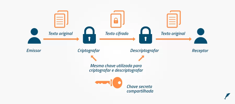 Criptografía y gestión de claves y servicios criptográficos - Claves simétricas y asimétricas.